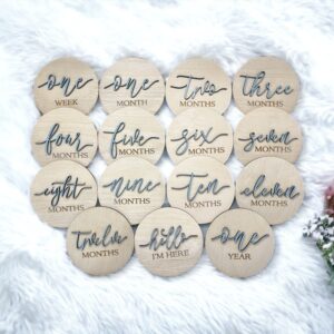 3D Wooden Monthly Milestone Discs For Baby Photos + Bonus Signs